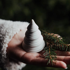 Tannenbaum "Skogshult" - 3