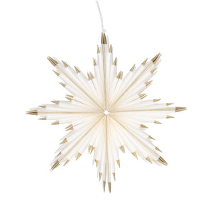 Papierstern "Goldspitze"