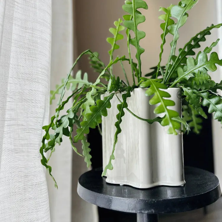 Vase "Filter"